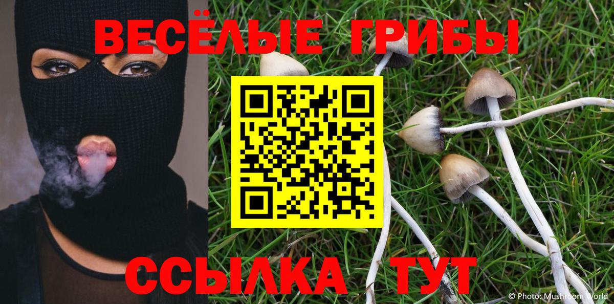 Галлюциногенные грибы GOLDEN TEACHER Будённовск
